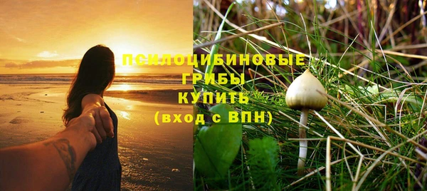 молекула духа Алзамай