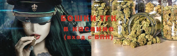 ПСИЛОЦИБИНОВЫЕ ГРИБЫ Арсеньев
