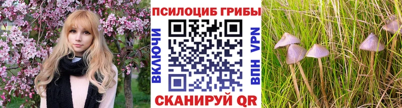 Псилоцибиновые грибы Psilocybine cubensis  Купить  Балабаново 
